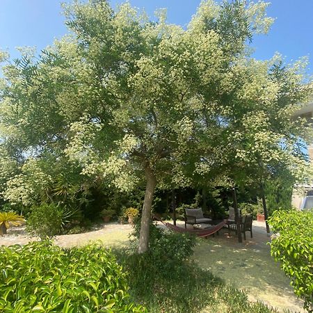 Casa Lusentum Villa Торевиеха Екстериор снимка